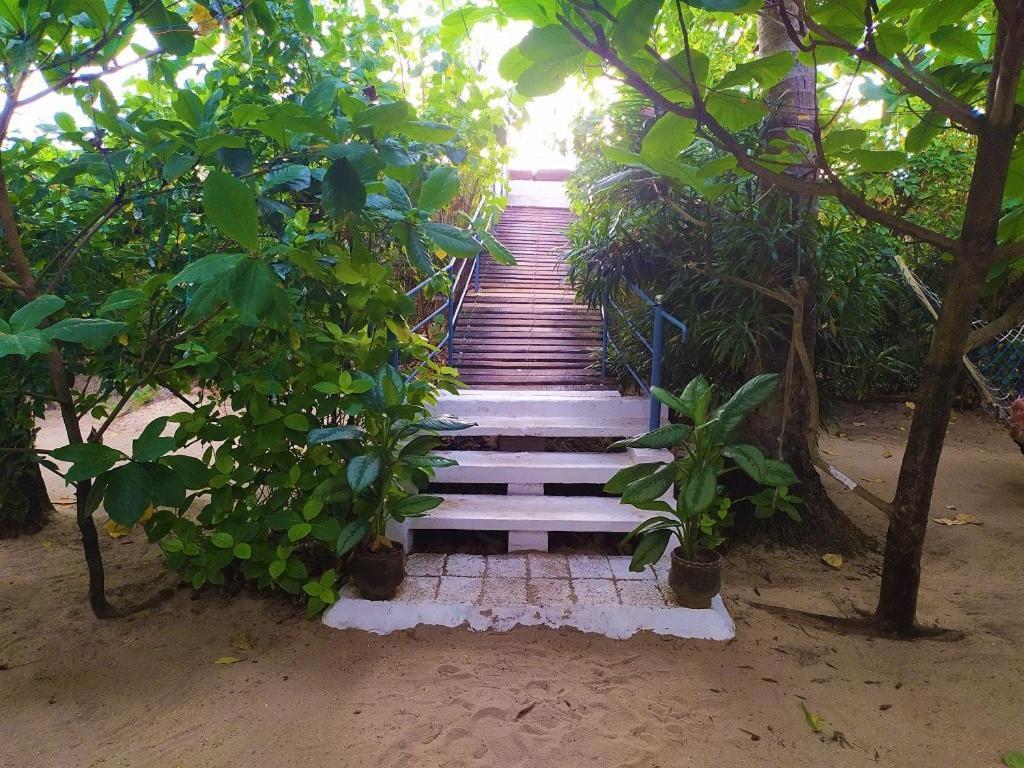 Sea Hut Homestay Коччи Экстерьер фото